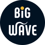 빅웨이브에이아이